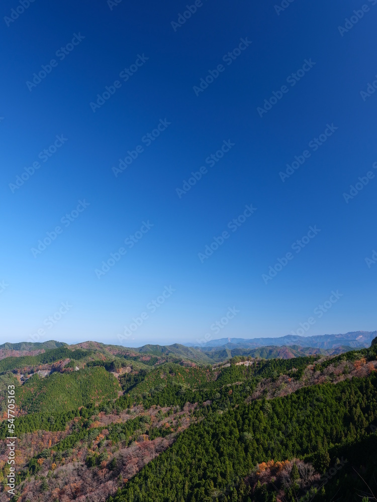 Fototapeta premium 山からの景色