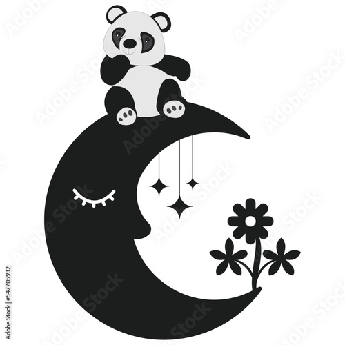 black and white panda on moon Mystical Design