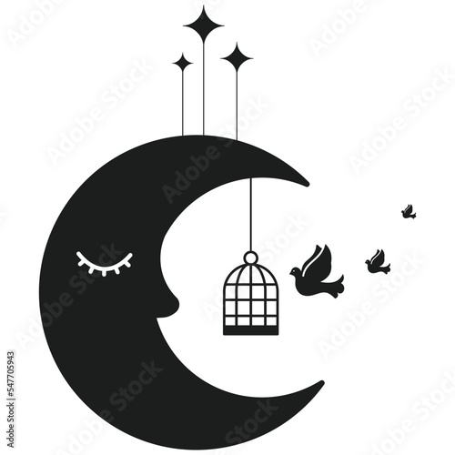 Black Birds on Moon Mystical Design