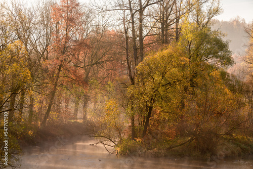 in a misty foggy morning on the river. Bóbr river in the Bóbr valley in the surrondings of Pilchowice in Poland in autumn photo