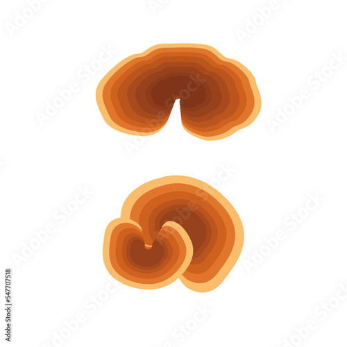 Reishi mushroom. Vector set in flat style
