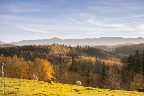 in the Bóbr Valley in the surrondings of Jelenia Góra in Poland in a sunny day in autumn, mountain landscape photo