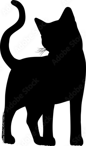 Silhouette Cat Pet Animal