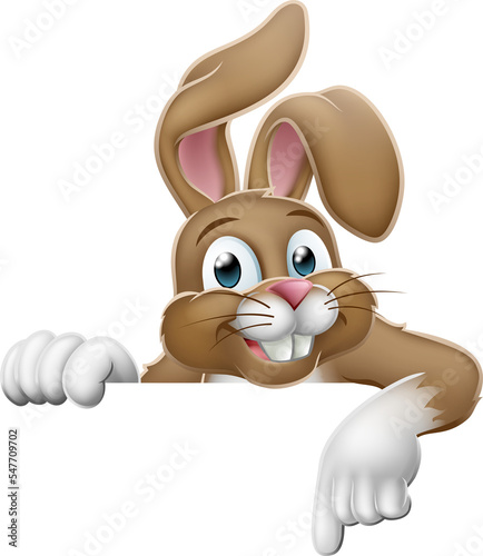 Easter Bunny Rabbit Pointin...