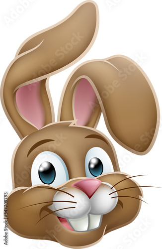 Easter Bunny Rabbit Face Ca...