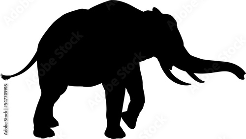 Elephant Safari Animal Silhouette photo