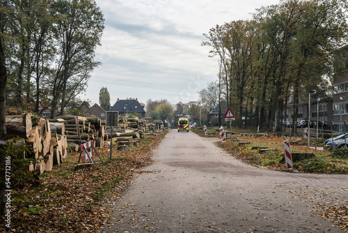 the beeches of an avenue near the Doetinchem hospital have been cut, because they are dying from drought and nitrogen deposition