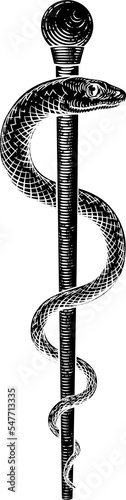 Rod of Asclepius Vintage Me...