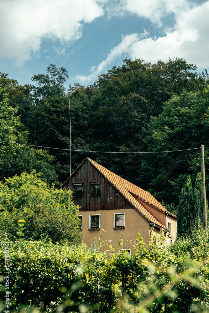 Obraz premium house in the woods