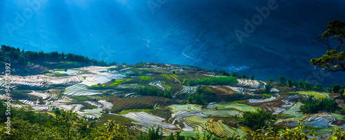 Terraced fields to prepare water for rice cultivation in Vietnam