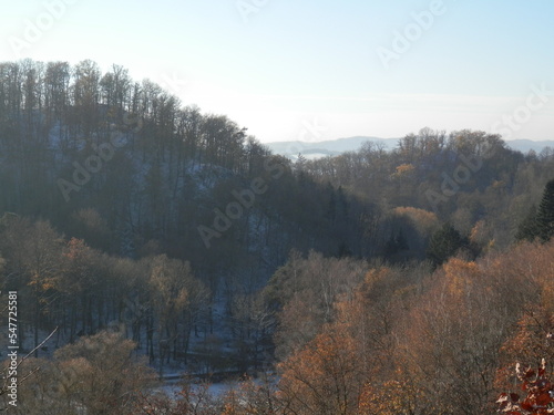 Blick vom Aussichtspunkt Felsentor bei Neustadt Harz
