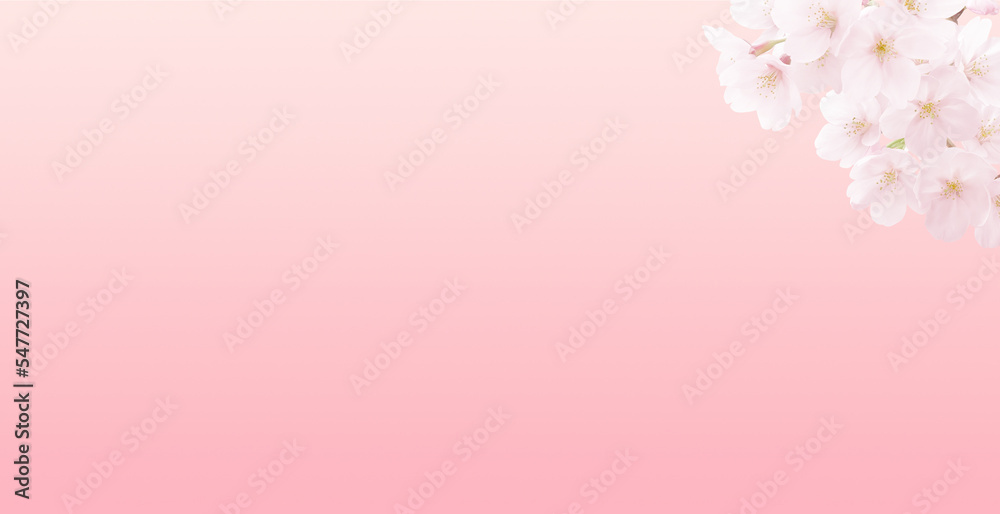 桜 イラスト リアル 背景 桜 イラスト リアル 背景
