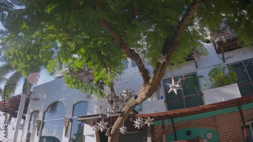 decorated tree in city street in mexico