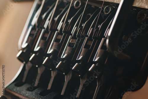 Bild auf Leinwand Close-up of electric guitar tremolo bridge