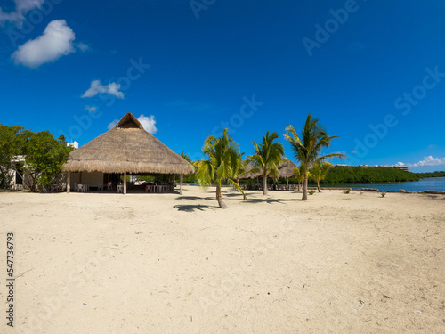 palapa restaurant with palm trees
