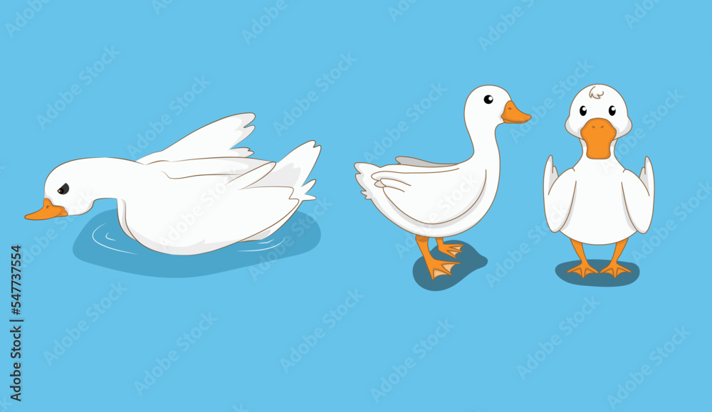 Duck in 3 action vector illustration Duck in 3 action vector illustration