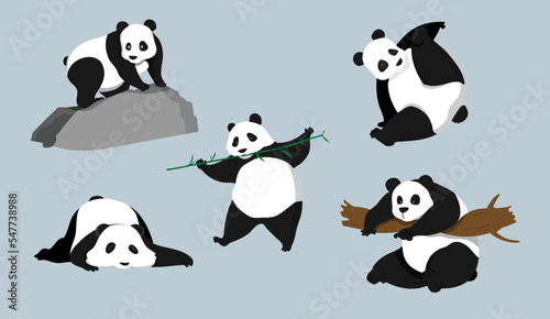 Cute panda character set vector illustration