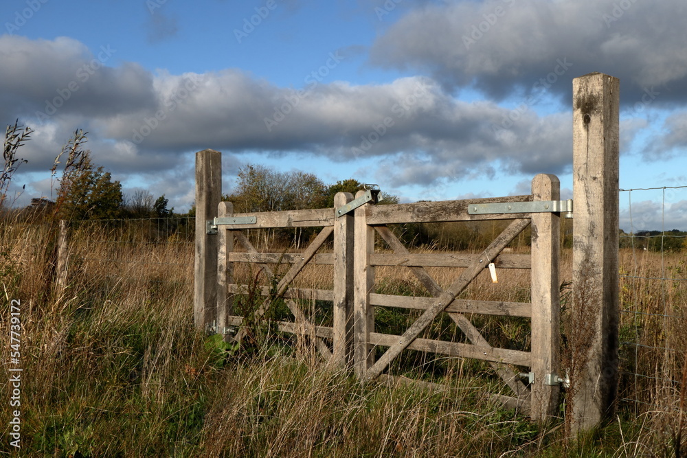 Fototapeta premium wooden gate in a rural environment