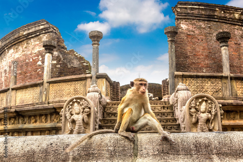 Photography Vatadage in Polonnaruwa