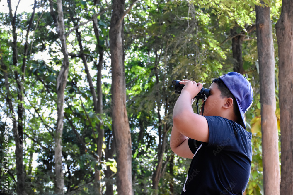 Three Southeast Asian boys are using binoculars to observe birds in tropical forest, idea for learning creatures and wildlife animals outside the classroom. Three Southeast Asian boys are using binoculars to observe birds in tropical forest, idea for learning creatures and wildlife animals outside the classroom.