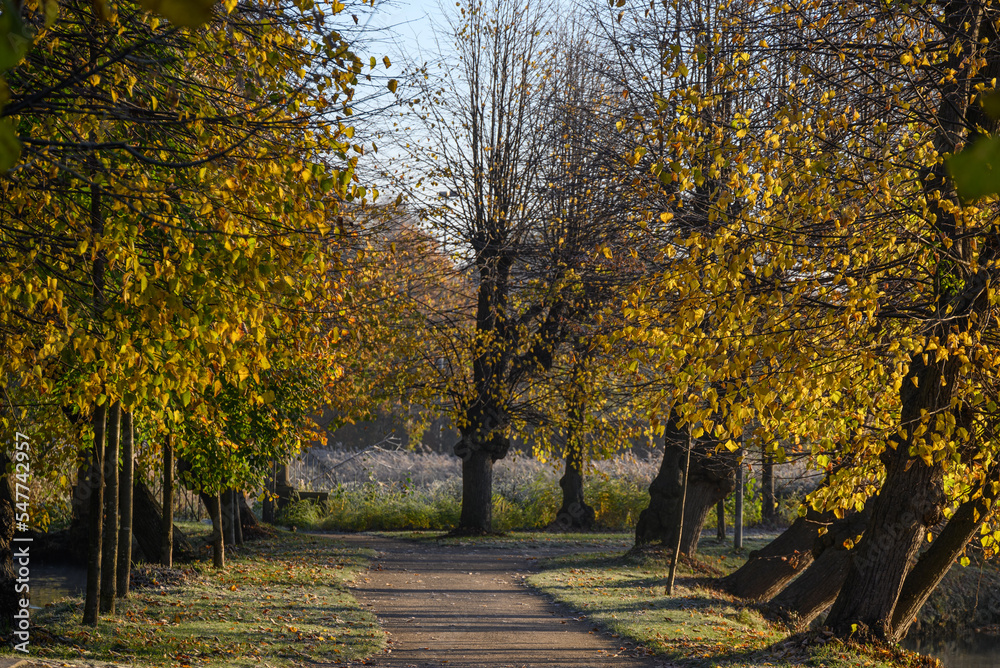 Naklejka premium Spätherbst am Wasserschloß im Münsterland