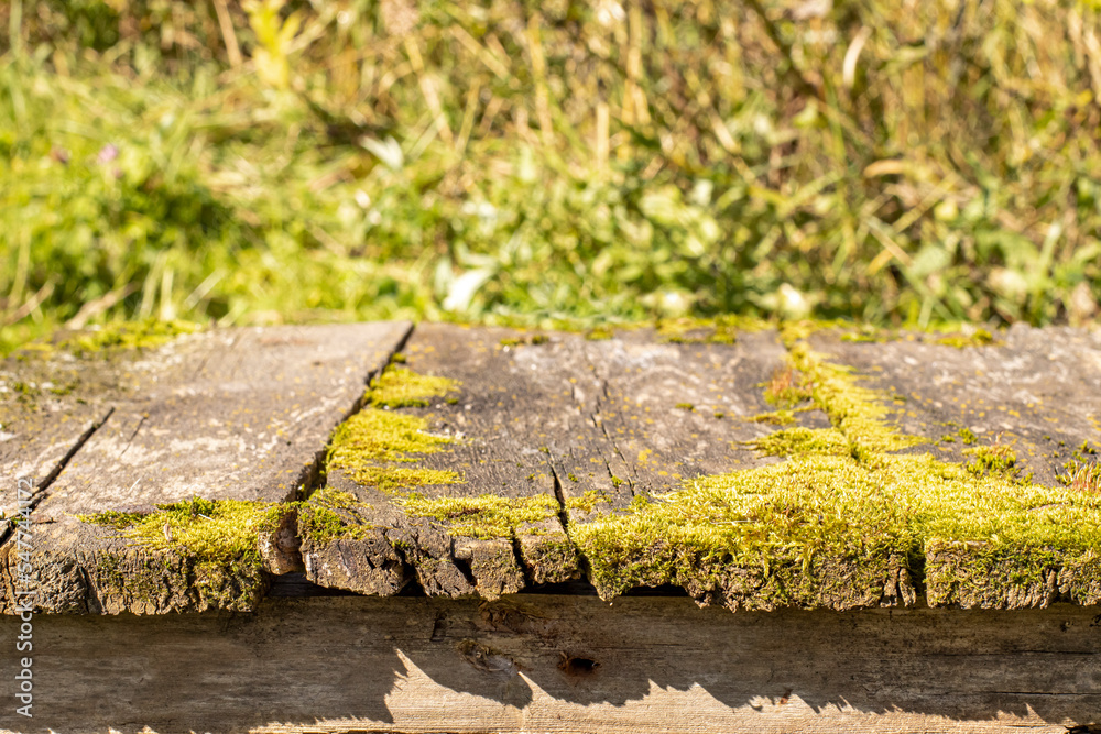 Outdoor table in the garden or backyard, close-up Outdoor table in the garden or backyard, close-up