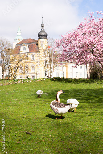 Schlossgarten Oldenburg