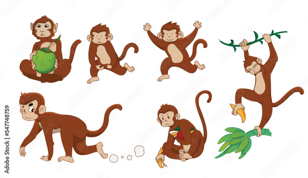 Monkey in 6 action, vector illustration
