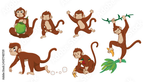 Monkey in 6 action, vector illustration
