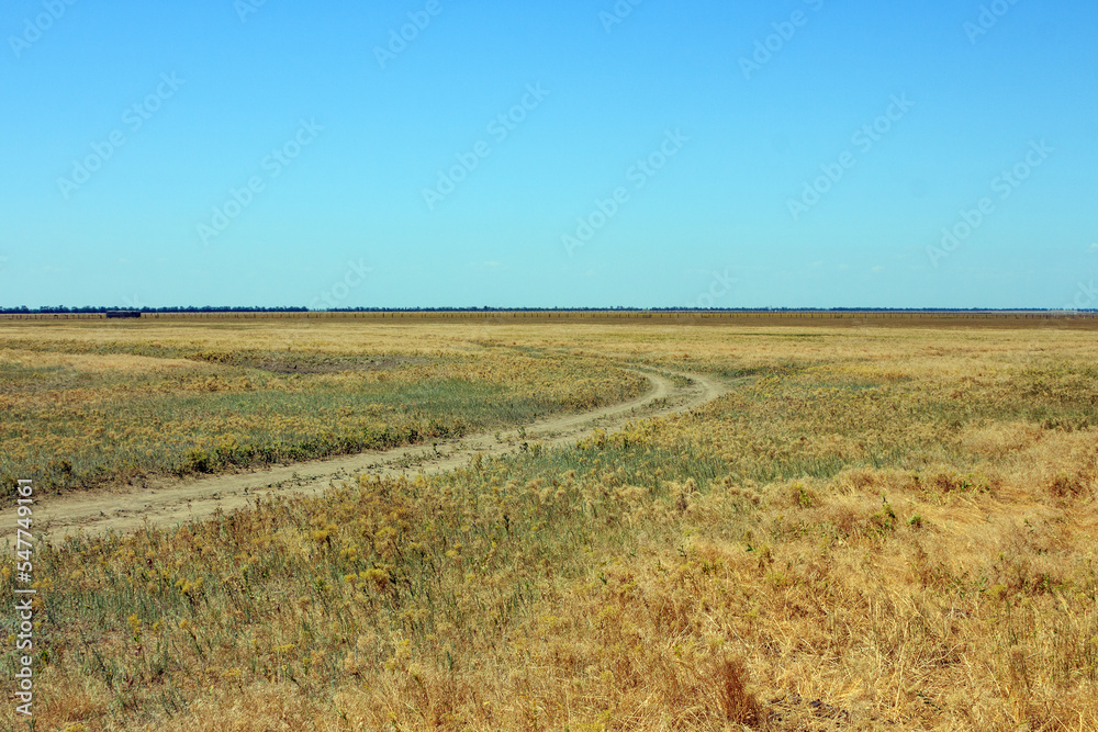 Fototapeta premium A view of the Ukrainian steppe on the territory of the national nature reserve 