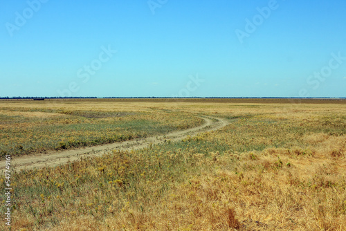 A view of the Ukrainian steppe on the territory of the national nature reserve 