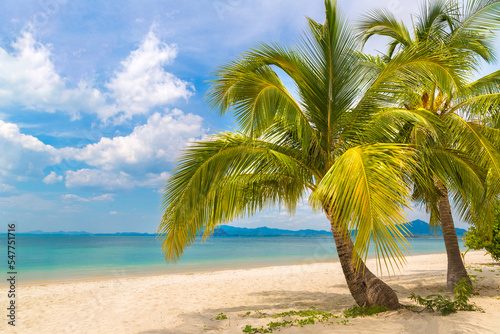 Fototapeta Naklejka Na Ścianę i Meble -  Single palm tree on beach