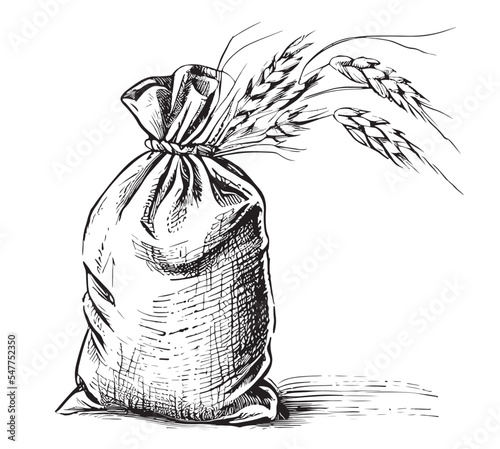 Grain bag hand drawn sketch Vector illustration.