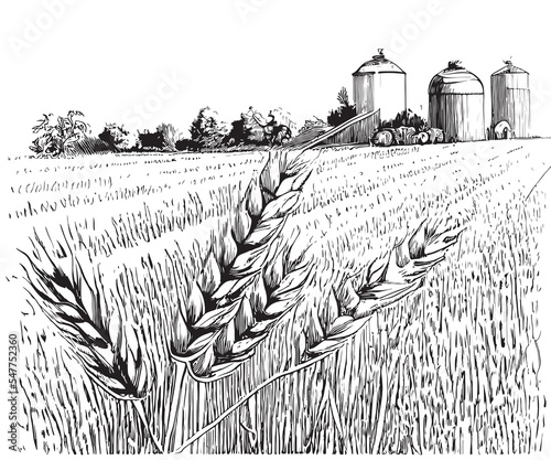 Farm wheat field landscape hand drawn sketch Vector illustration.
