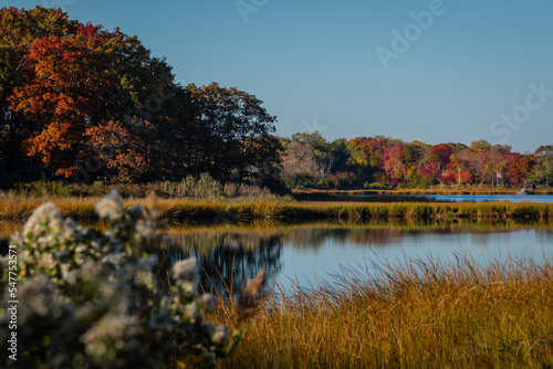 Autumn in the park of Indian Island county park, Riverhead, New York