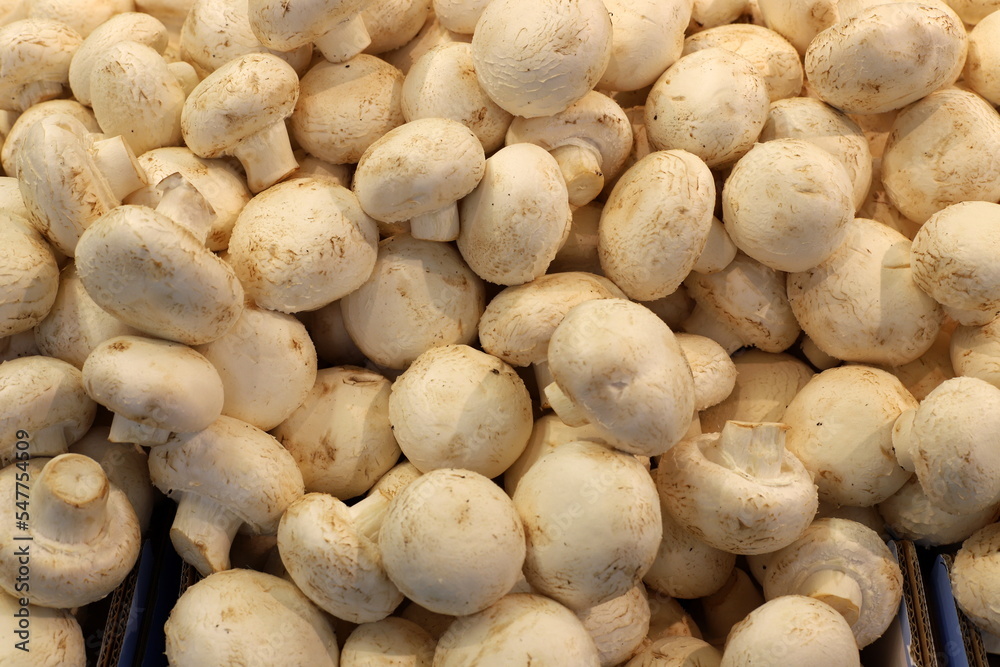 Vegetables and fruits are sold at a bazaar in Israel. Vegetables and fruits are sold at a bazaar in Israel.