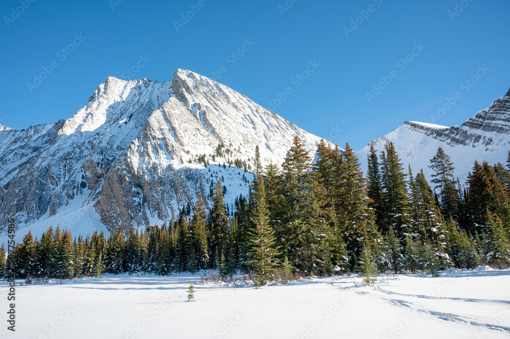 Frozen lake backed by forest and mountains in winter