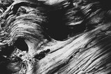 Black and white close-up of swirling pattern in juniper tree bark in nature with shadow