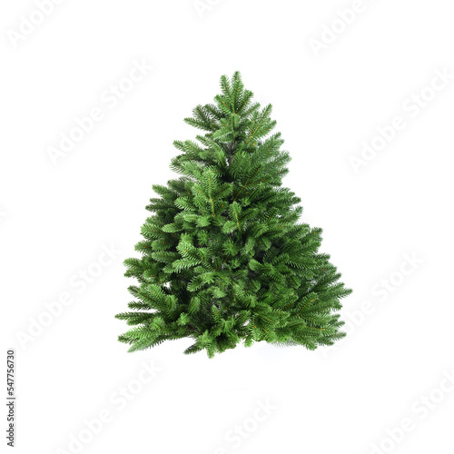 Artificial green Christmas tree without decor isolated on white background. Xmas holiday. Reusable cast Christmas tree. © svetlana_cherruty