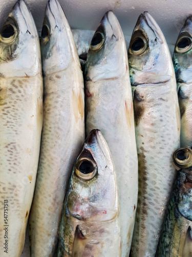 Sardines on the market