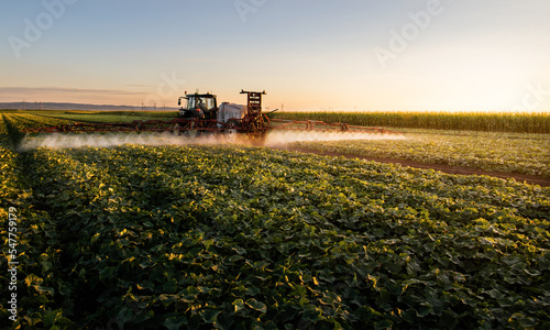 Tractor spraying vegetable field in sunset.