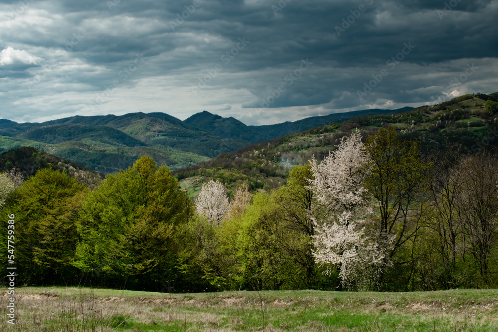 Spring nature landscape in Apuseni Mountains Romania Spring nature landscape in Apuseni Mountains Romania