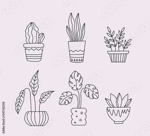 Set of home plants in Flowerpot. Outline drawing of houseplant in pot. Vector isolated illustration on white background.