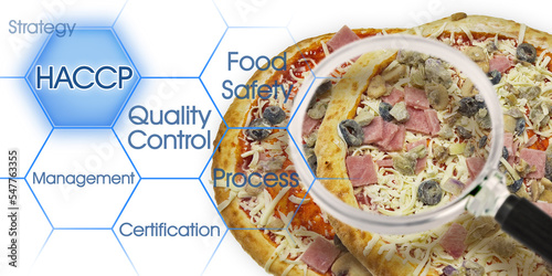 HACCP - Hazard Analysis and Critical Control Points - Food Safety and Quality Control in food industry -