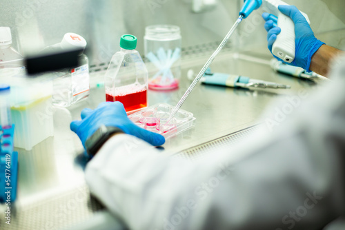 cell culture at the medicine  medical and cell culture laboratory