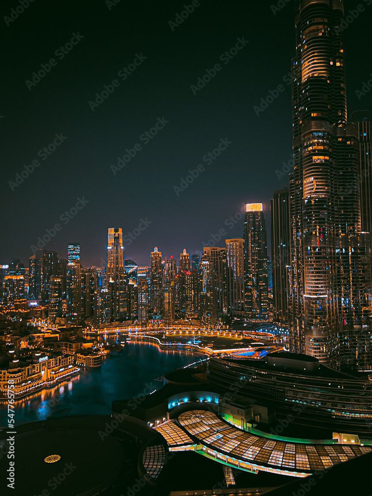 Fototapeta premium city skyline at night