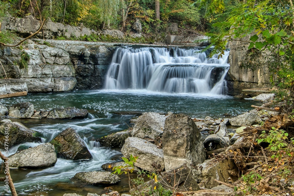 Obraz premium waterfall in the woods