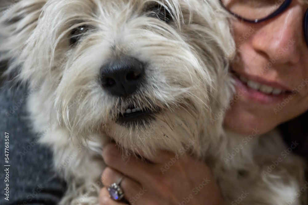 Long-haired white dog hugged by its owner. Long-haired white dog hugged by its owner.