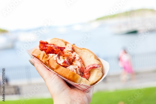 Closeup of a fresh lobster roll in bread in a person's hand