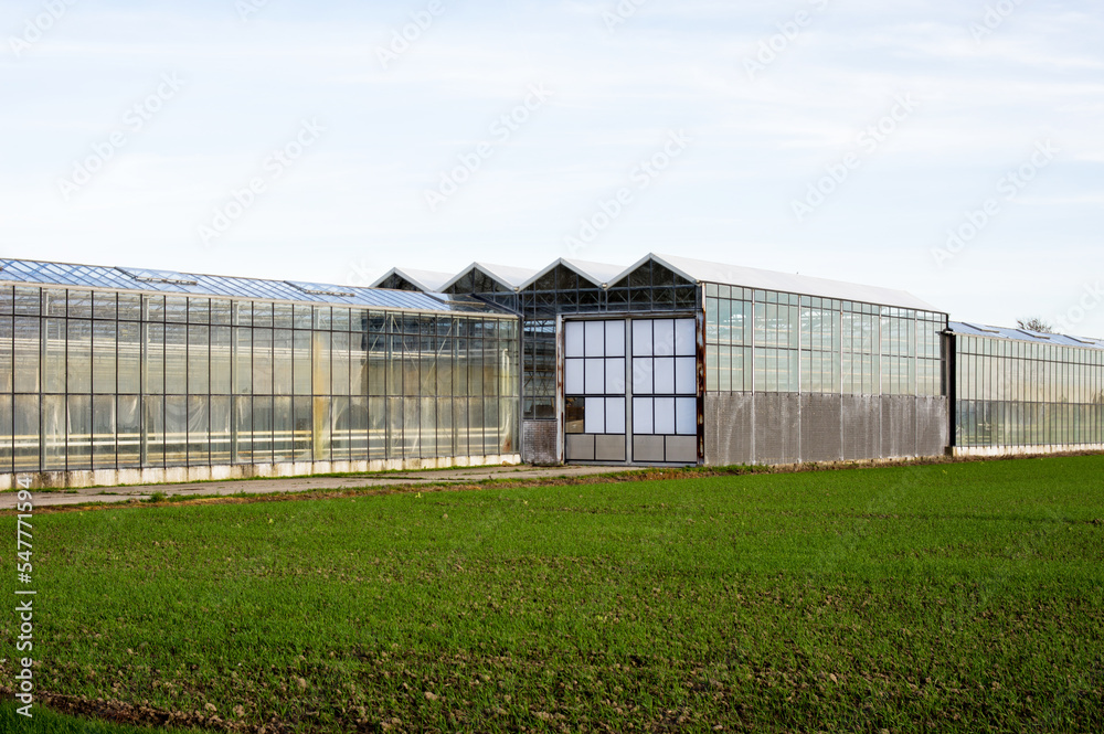 Glass exterior of a greenhouse with a grass field in the foreground in Arnhem in the Netherlands Glass exterior of a greenhouse with a grass field in the foreground in Arnhem in the Netherlands